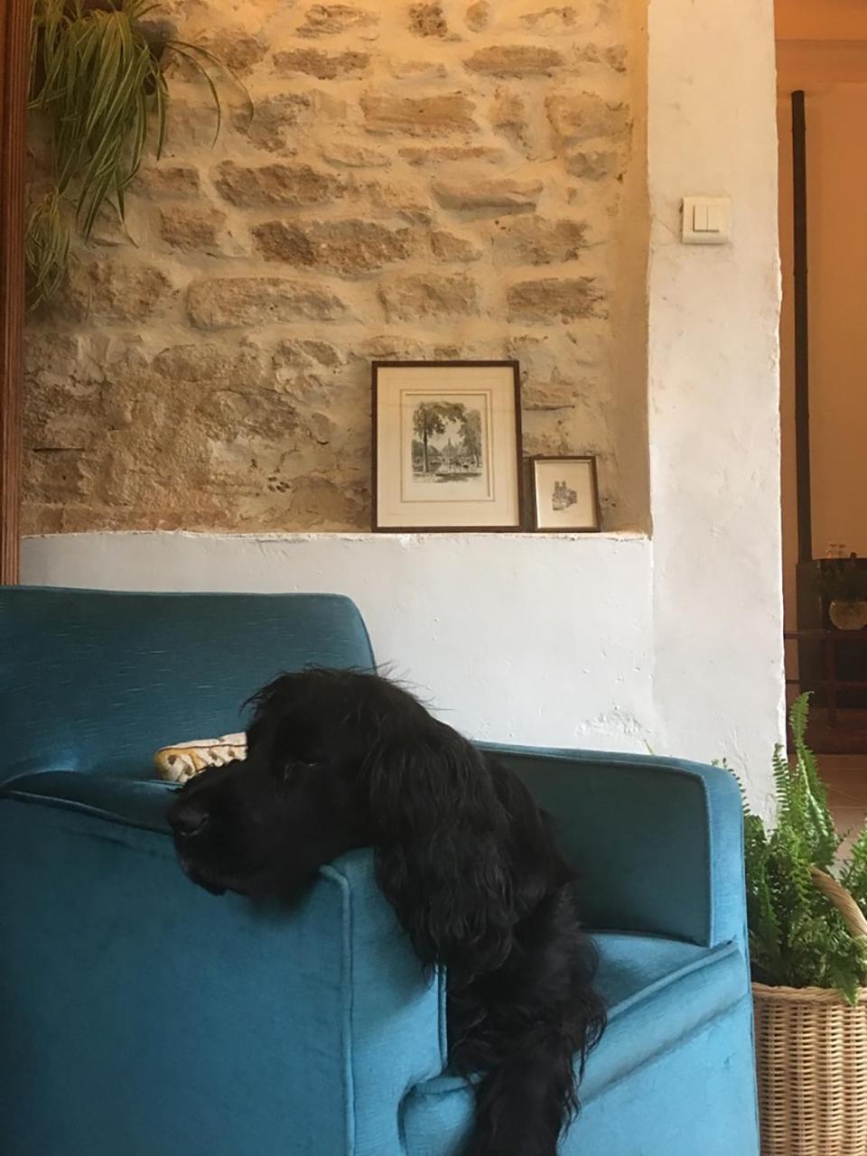 La Bergerie Pradel Bed and Breakfast Le Beaucet Buitenkant foto